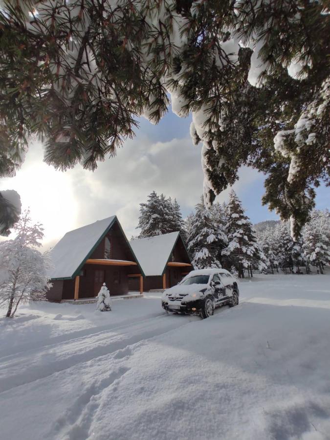 North Star Zabljak Εξωτερικό φωτογραφία